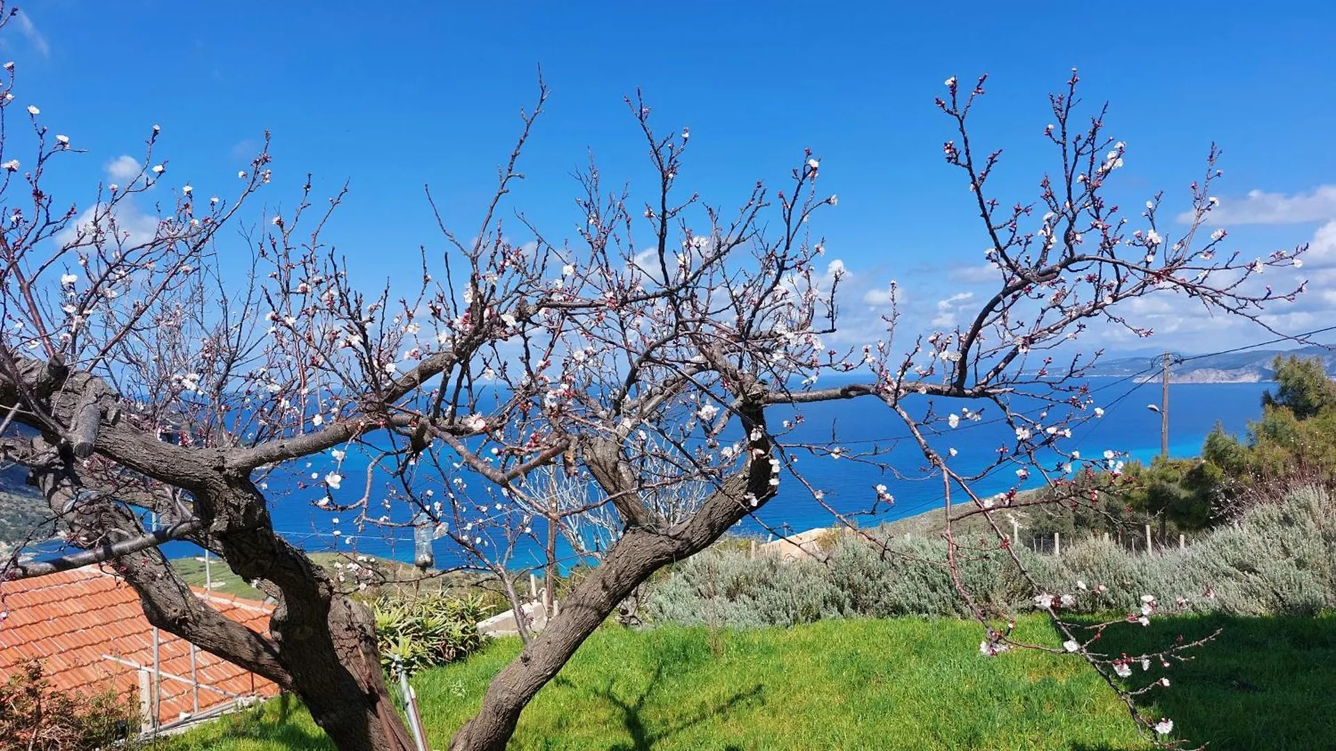 Azure Horizon Apartment, Kefalonia Angon Holiday home